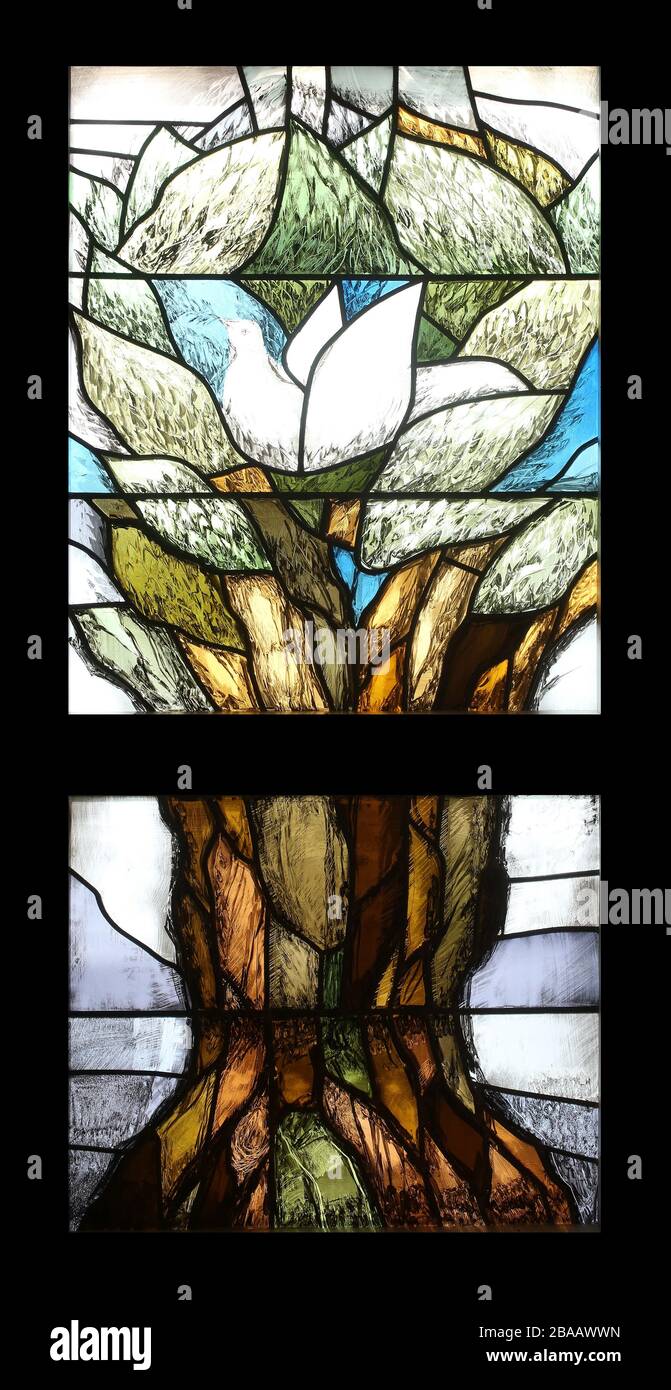 La colomba di Noè, Hope, vetrata di Sieger Koder nella Cappella di Oberstaufen, Germania Foto Stock