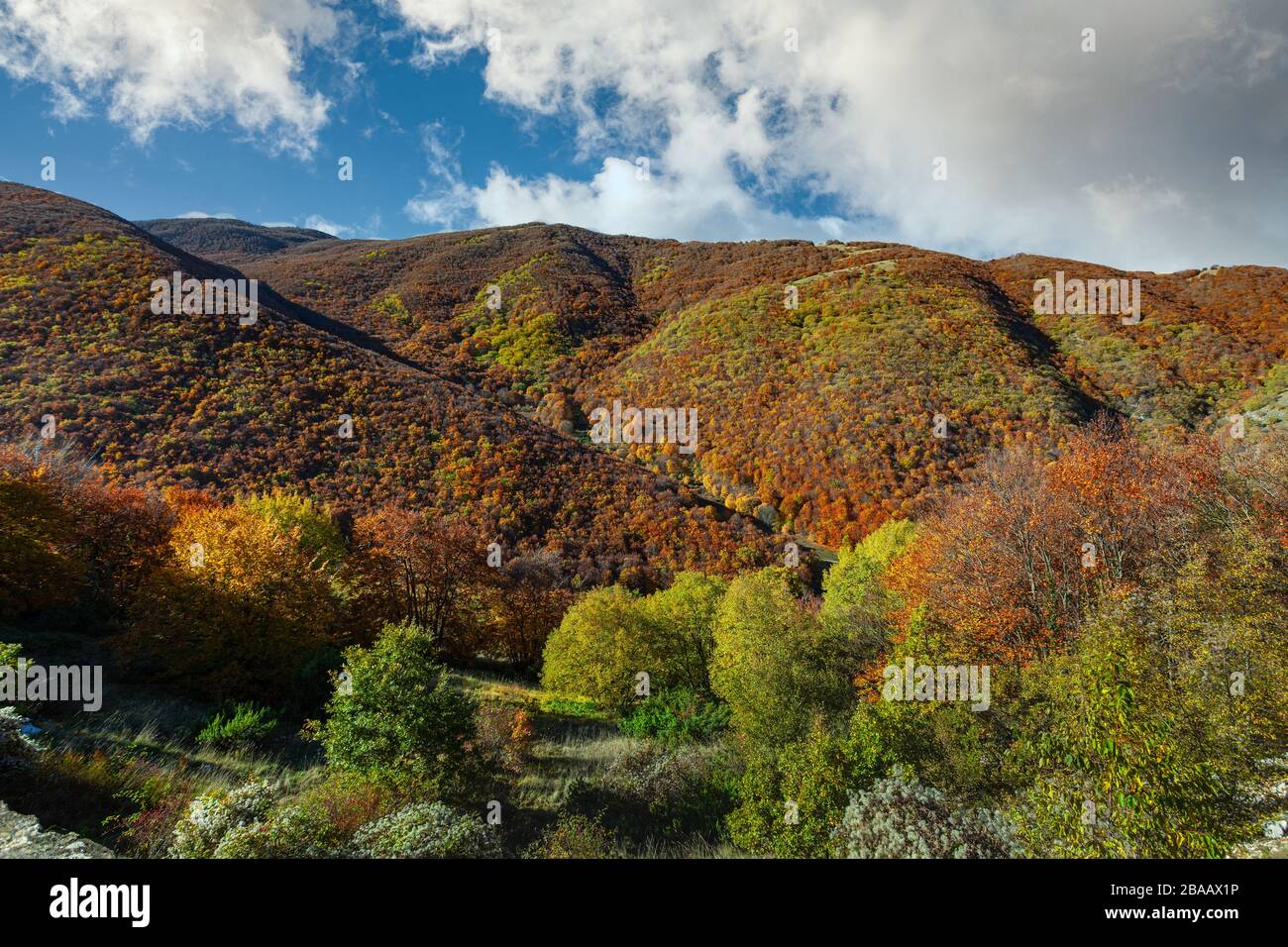 Paesaggio colori autunnali nell'appennino centrale, Abruzzo Foto Stock