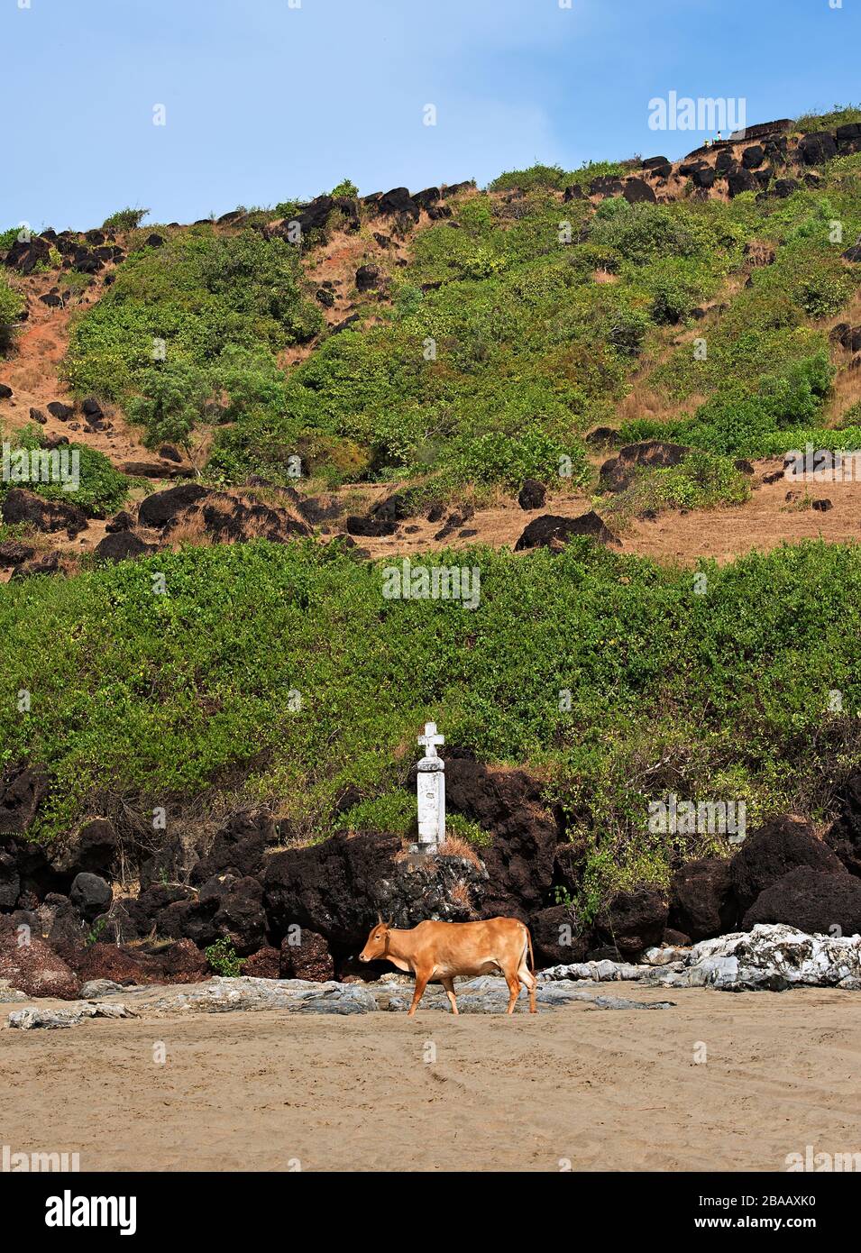 Beach Vagator nello stato indiano di Goa Foto Stock