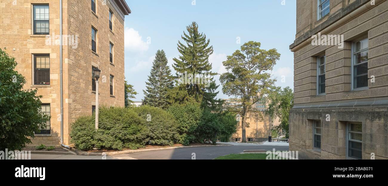 Alberi e sentieri tra gli edifici della University of Wisconsin-Madison, Madison, Dane County, Wisconsin, Stati Uniti Foto Stock