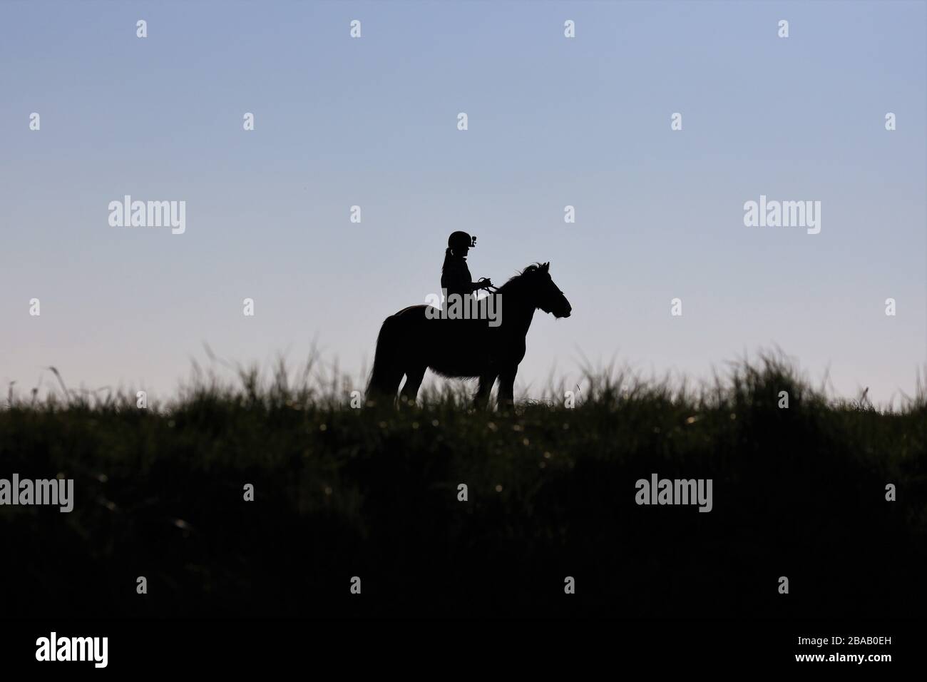 Una silhouette di una ragazza e pony su un hack in campagna Foto Stock