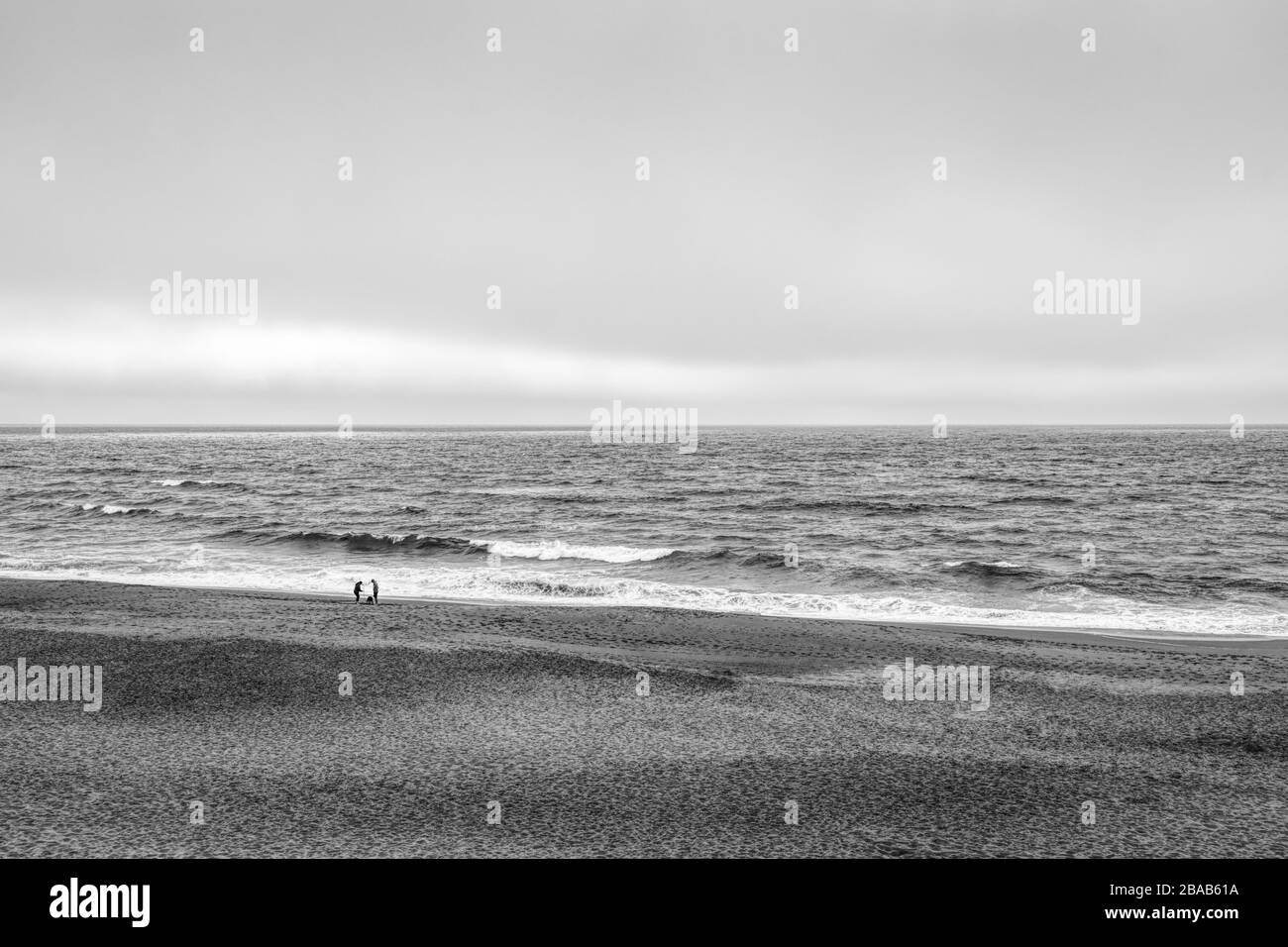 Due persone e cane sulla spiaggia al Point Reyes National Seashore, California, Stati Uniti Foto Stock