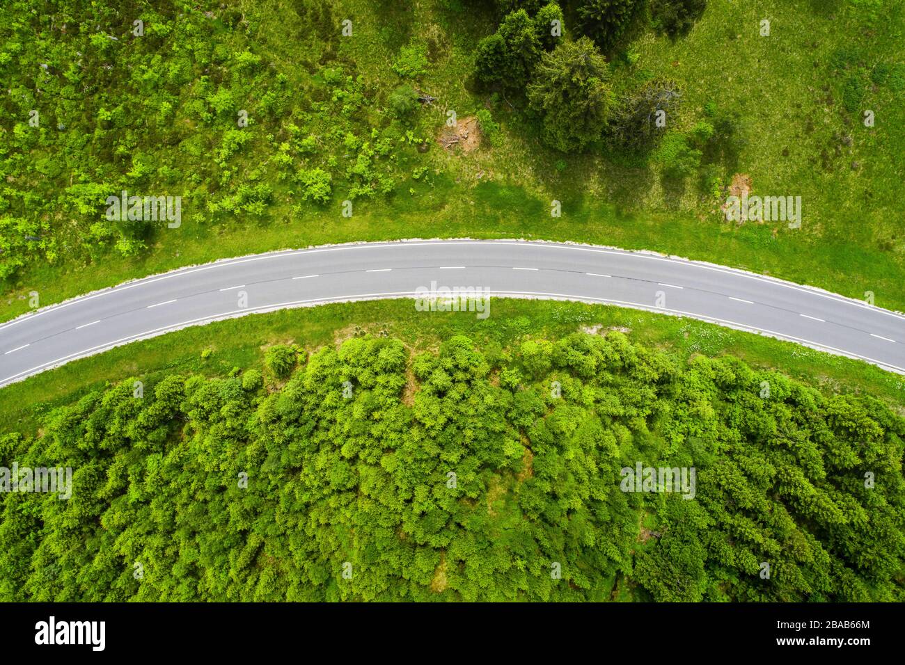 Strada curva da sopra verde fogliame, Baiersbronn, Baden Wurttemberg, Germania Foto Stock