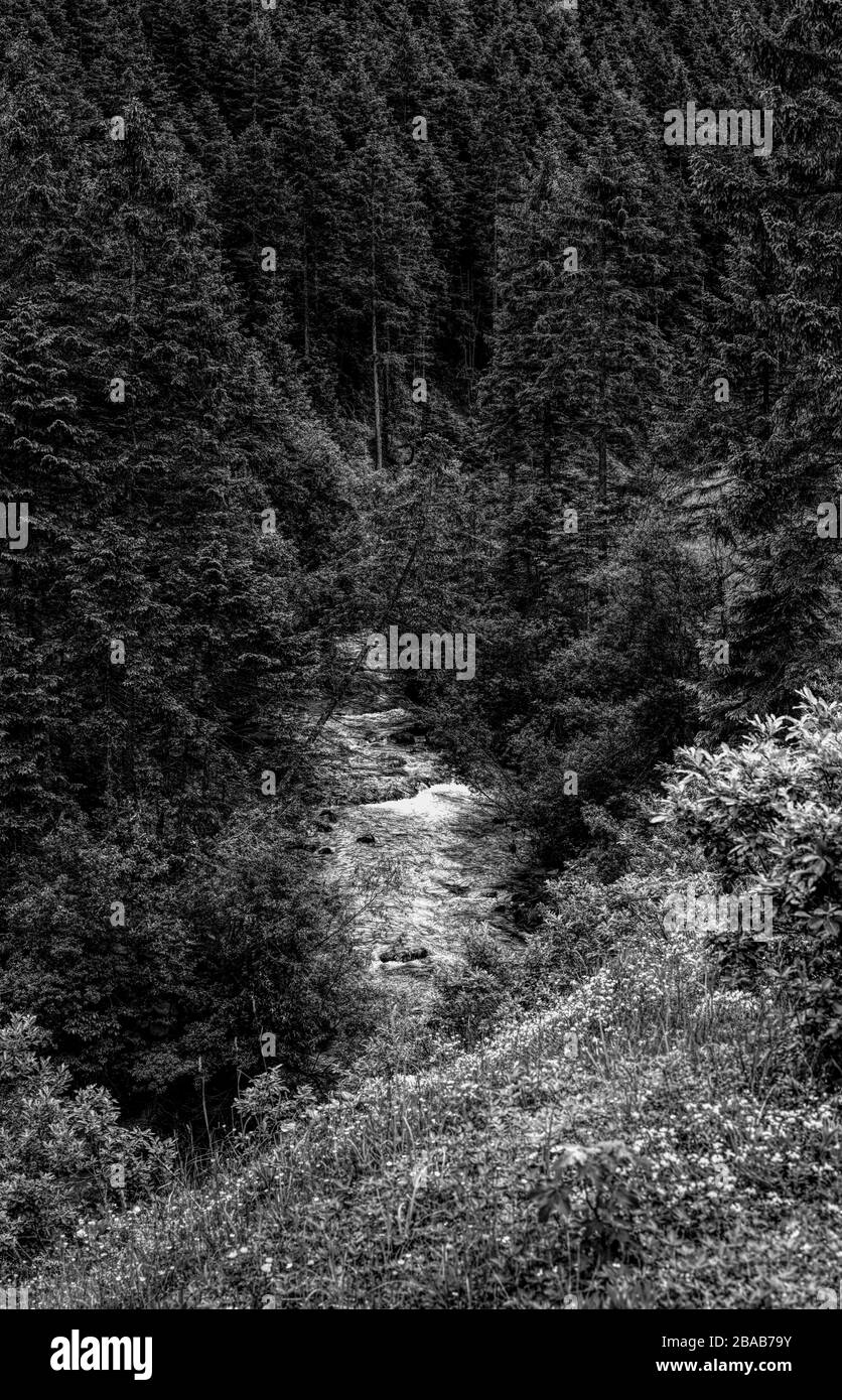 Rissbach fiume a Karwendel Montagne, Vorderriss, Baviera, Germania Foto Stock