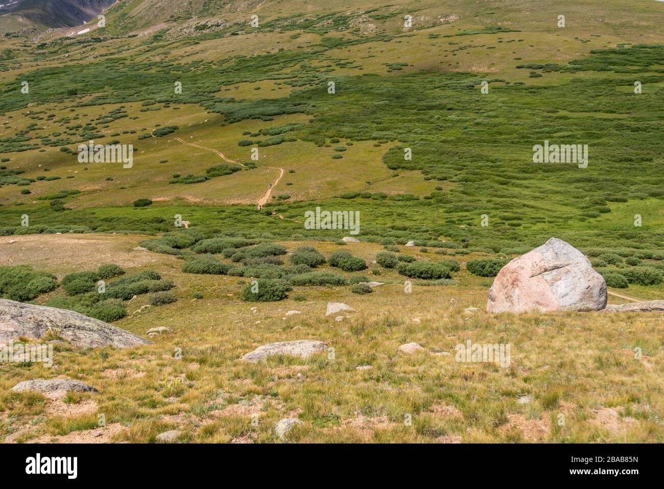 Paesaggio a cornice di verde collina e valle in cima al Passo Guanella in Colorado Foto Stock