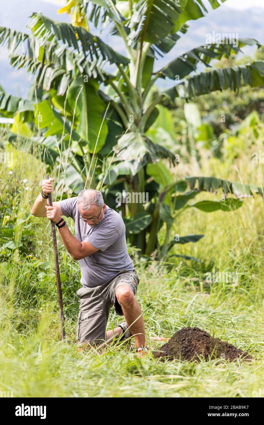 Uomo anziano che scava un foro profondo con la pala all'aperto. Foto Stock