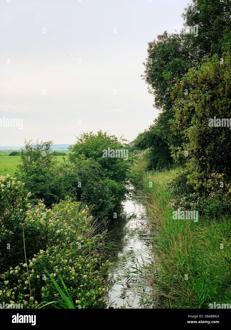 Un ruscello che corre lungo un campo sulla costa del Norfolk Foto Stock