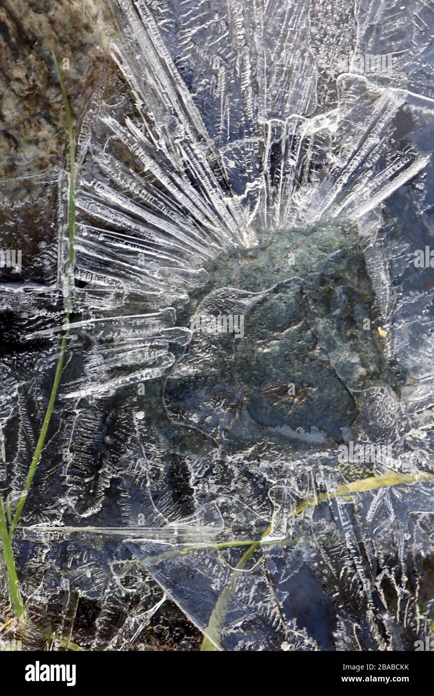 Raggi semitrasparenti di cristalli di ghiaccio intorno alla roccia su un piccolo torrente al mattino presto, con congelato in erba verde. Foto Stock