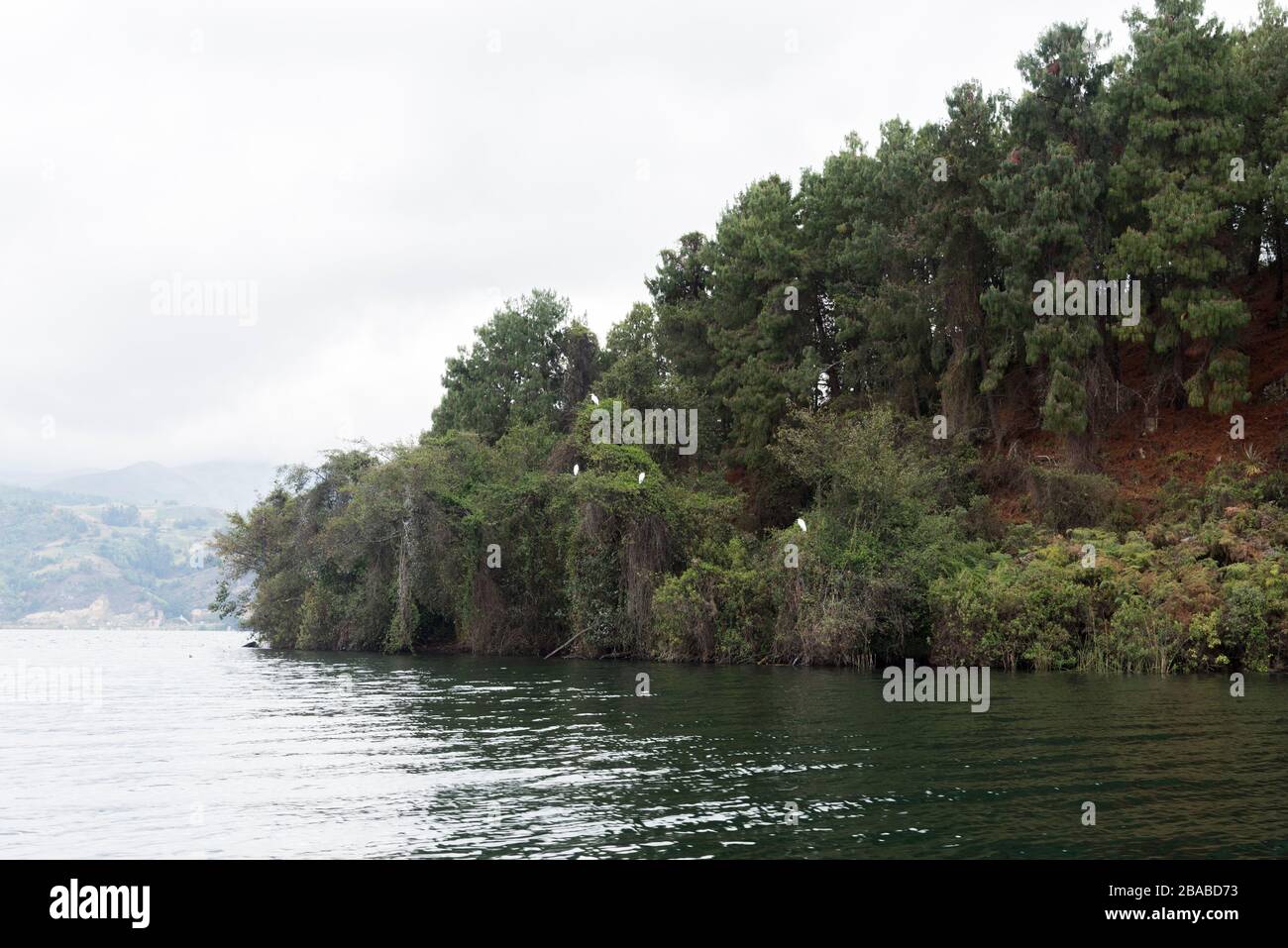 Aquitania, Boyaca / Colombia: 9 aprile 2018: Paesaggio di Tota, il più grande lago colombiano; riva di un'isola con vegetazione abbondante Foto Stock