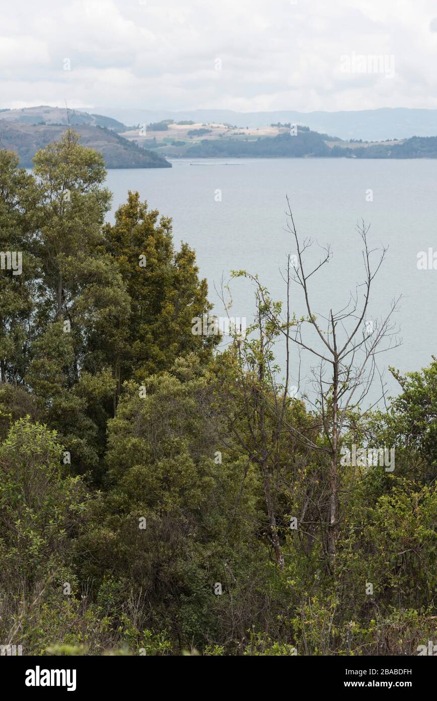 Paesaggio naturale nell'isola di San Pedro o nell'Isla Grande, nel lago Tota, il più grande della Colombia Foto Stock