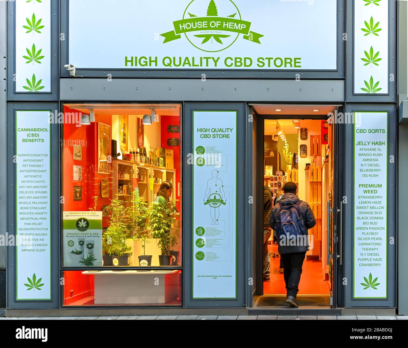 VIENNA, AUSTRIA - NOVEMBRE 2019: Persona che entra in un negozio che vende olio di cannabis e prodotti CBD nel centro di Vienna Foto Stock