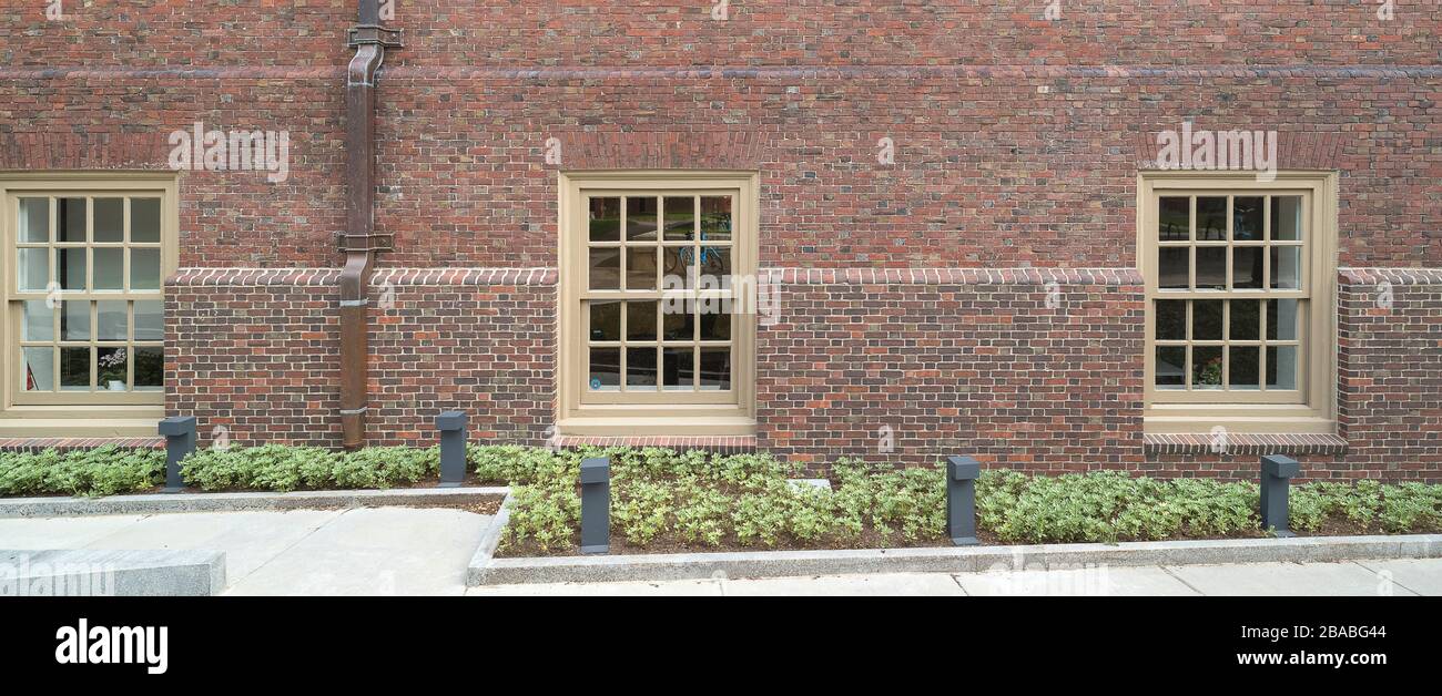 Edificio esterno all'Università di Harvard, Cambridge, Massachusetts, Stati Uniti Foto Stock