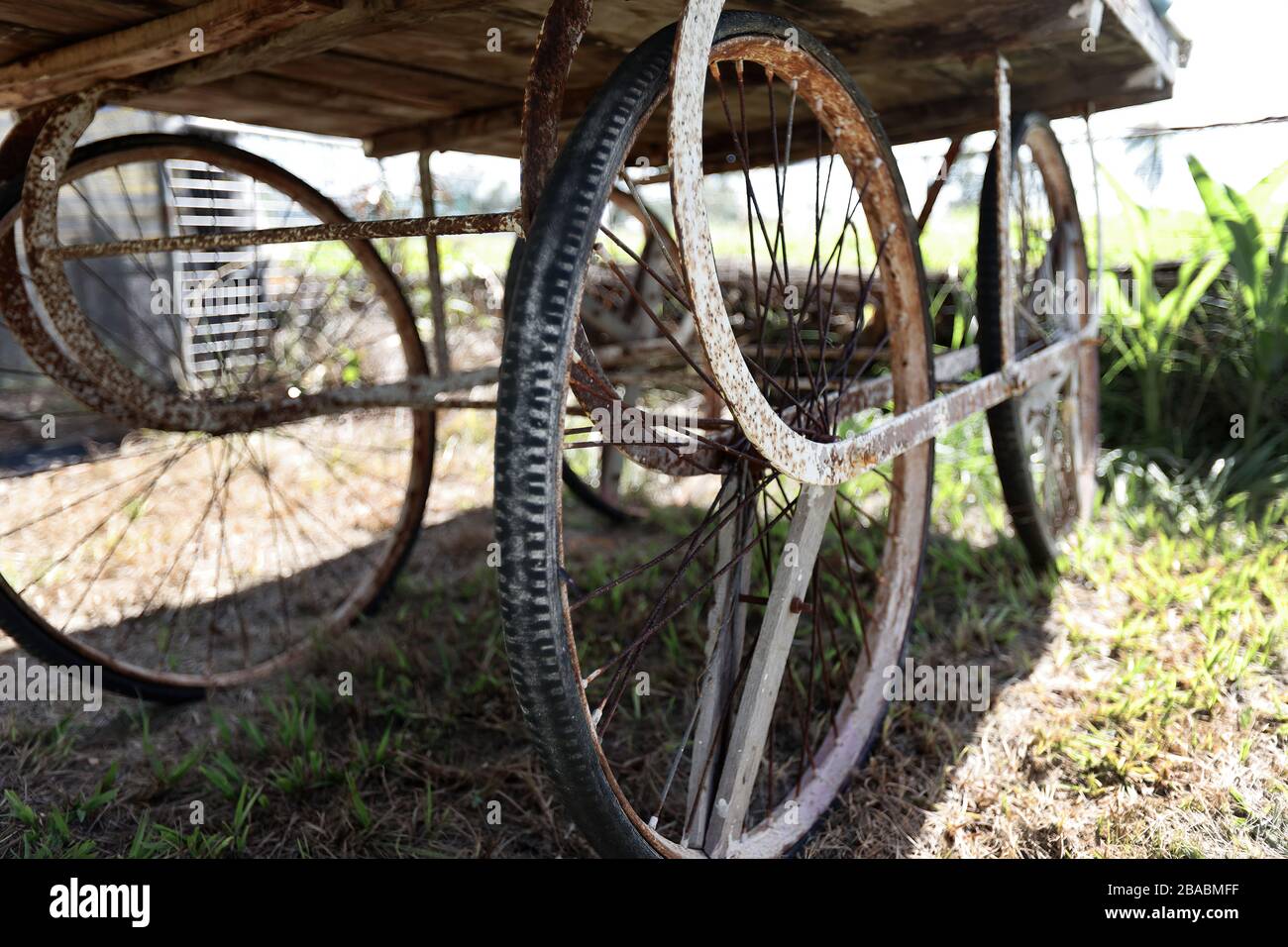 Trovato su una fattoria urbana locale: Questo vecchio carrello fattoria con 4 ruote e un piano da tavolo fatto a piante di carie e piantine intorno per piantare. Foto Stock