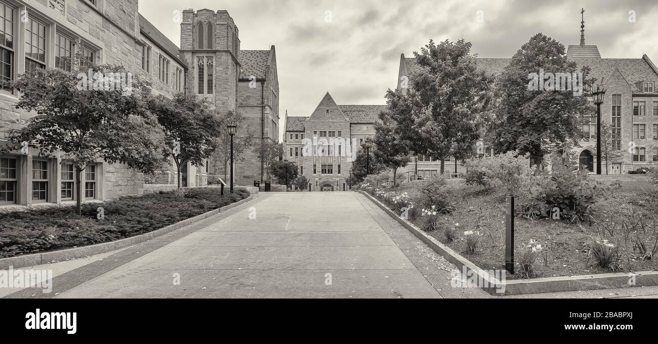 Edifici nel campus del Boston College, Chestnut Hill vicino a Boston, Massachusetts, Stati Uniti Foto Stock