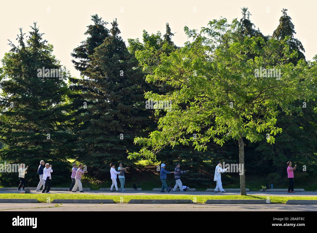 Gli adulti più anziani che esercitano il Tai Chi nel parco pubblico Foto Stock