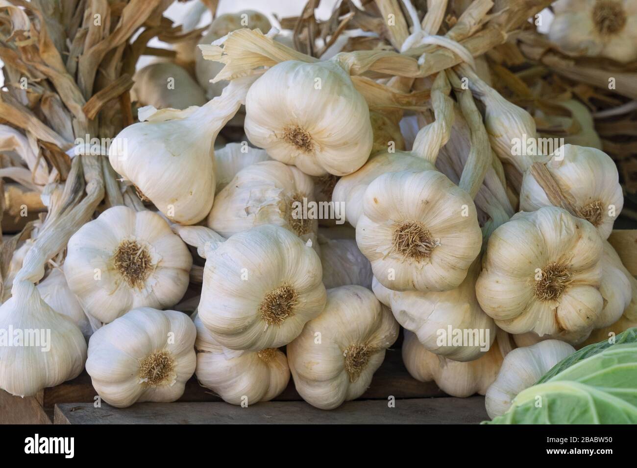 dettaglio di una treccia d'aglio esposta per la vendita in un mercato nazionale. Sfondo nero Foto Stock