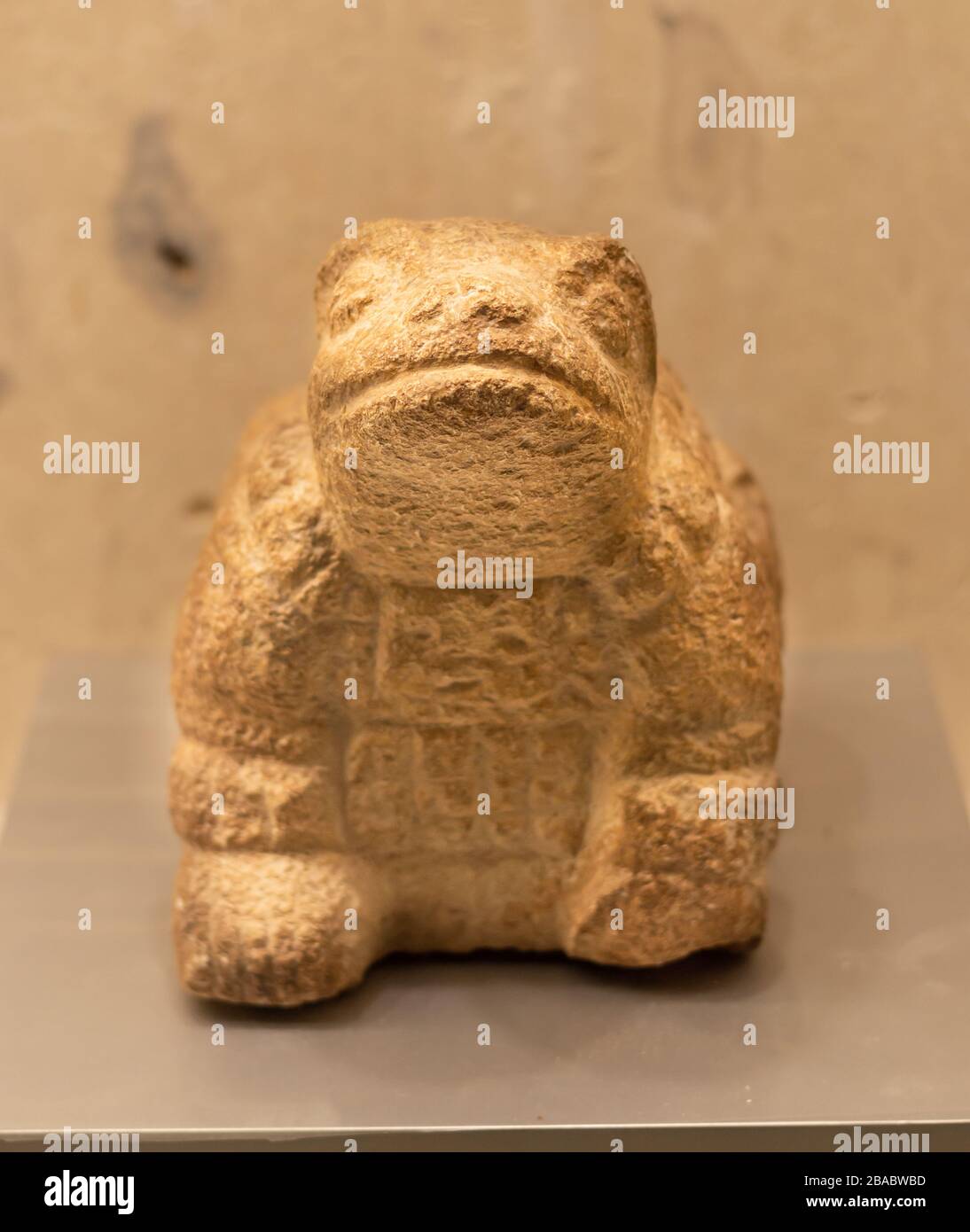 Maya figura di pietra di un toad. Si credeva che i toads fossero musicisti di Dio Chaac e lo aiuterebbero a convocare la pioggia per scopi agricoli. Merida Yucatan Foto Stock