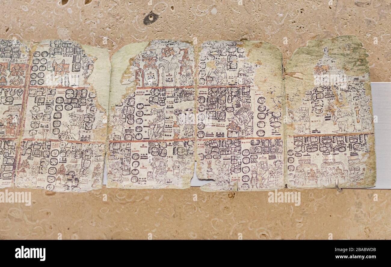 Riproduzione del codice Maya esposta al museo Maya, Merida, Yucatan, Messico. Foto Stock