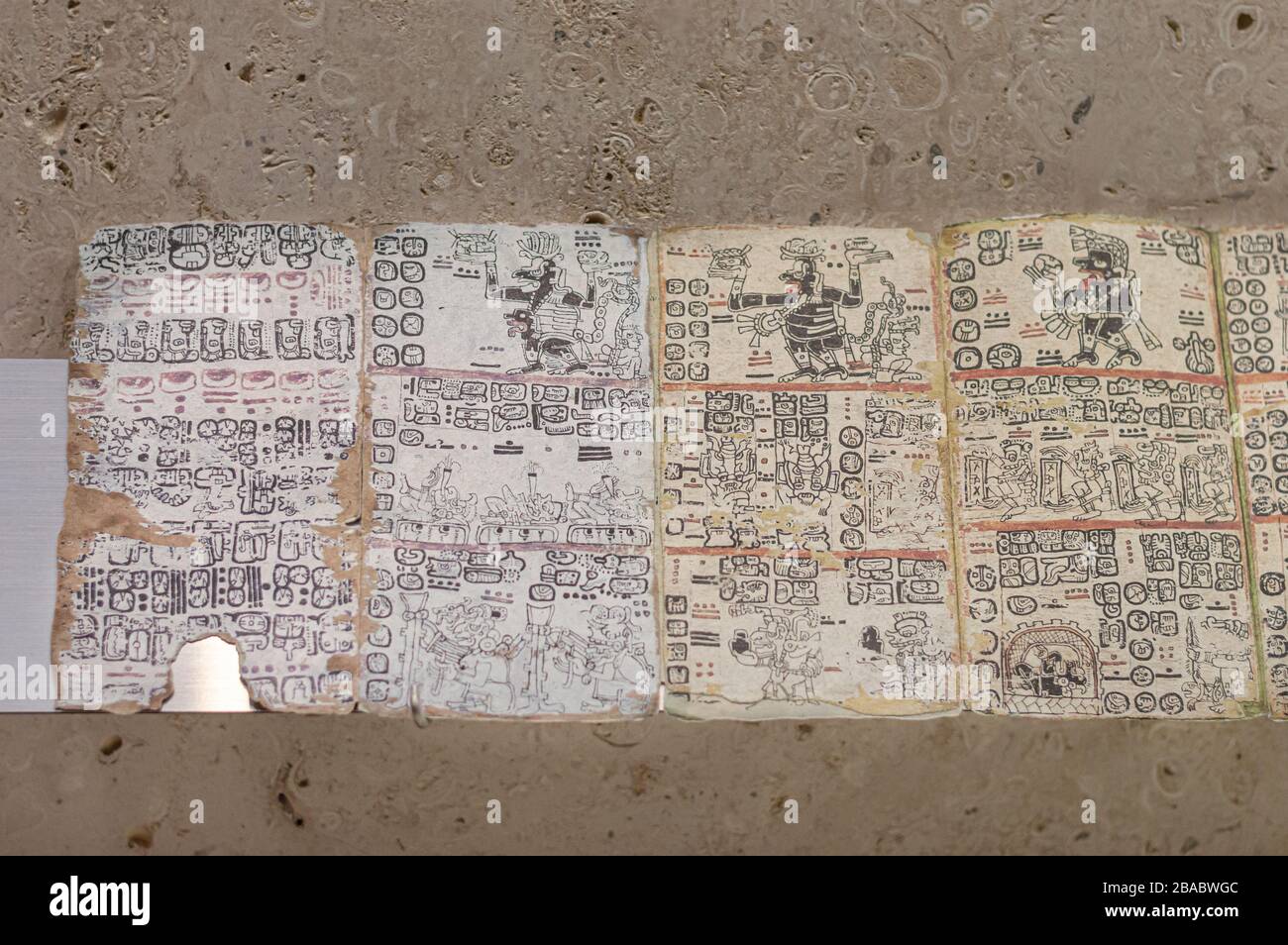 Riproduzione del codice Maya esposta al museo Maya, Merida, Yucatan, Messico. Foto Stock