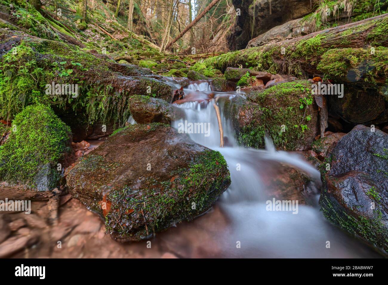 Acqua che scorre nella gola di Wolfsschlucht vicino a Zwingenberg nell'Odenwald, Germania. Foto Stock