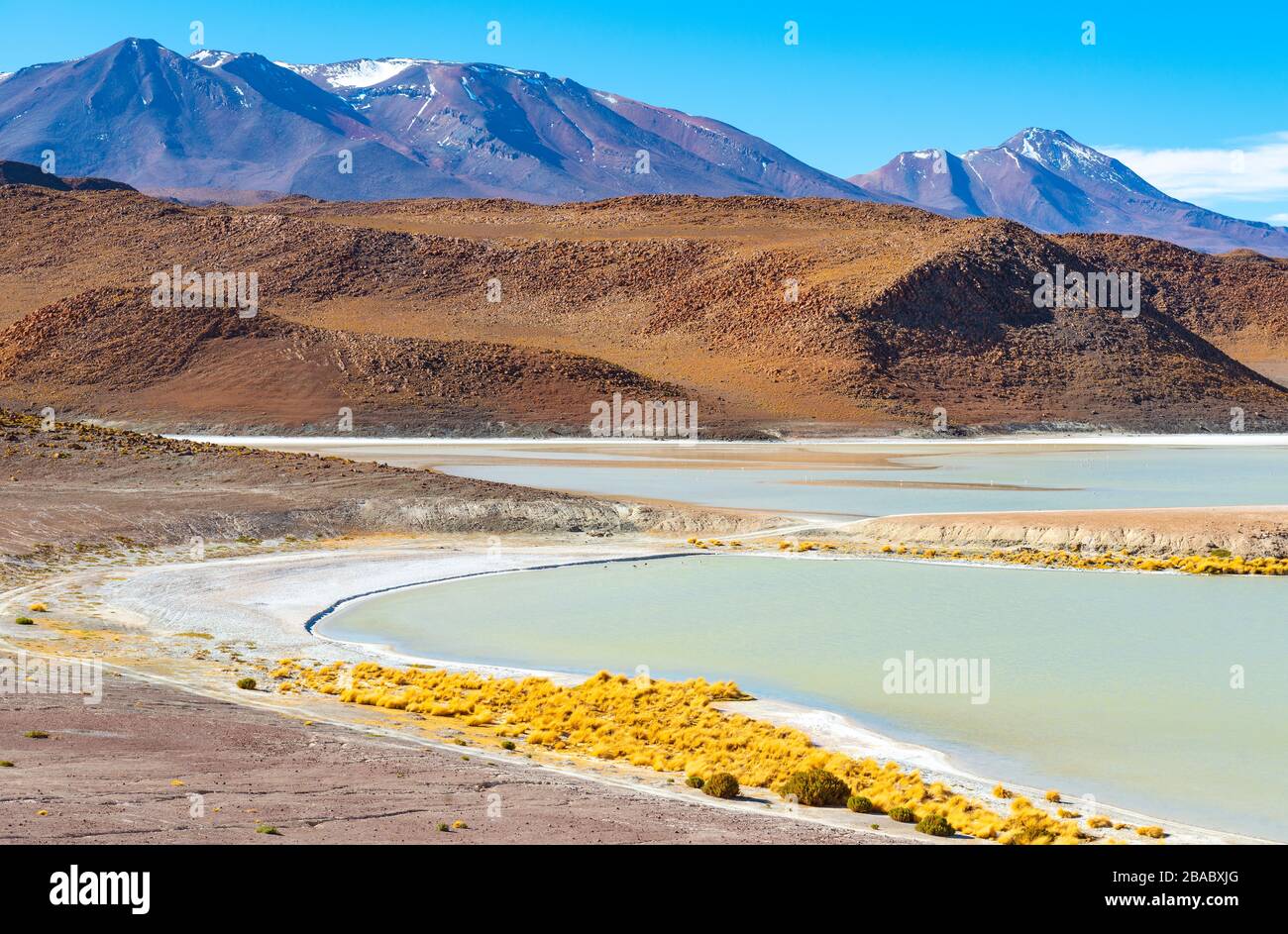 La laguna di Canapa con fenicotteri in lontananza, regione desertica di sale di Uyuni, catena montuosa delle Ande, Bolivia. Foto Stock