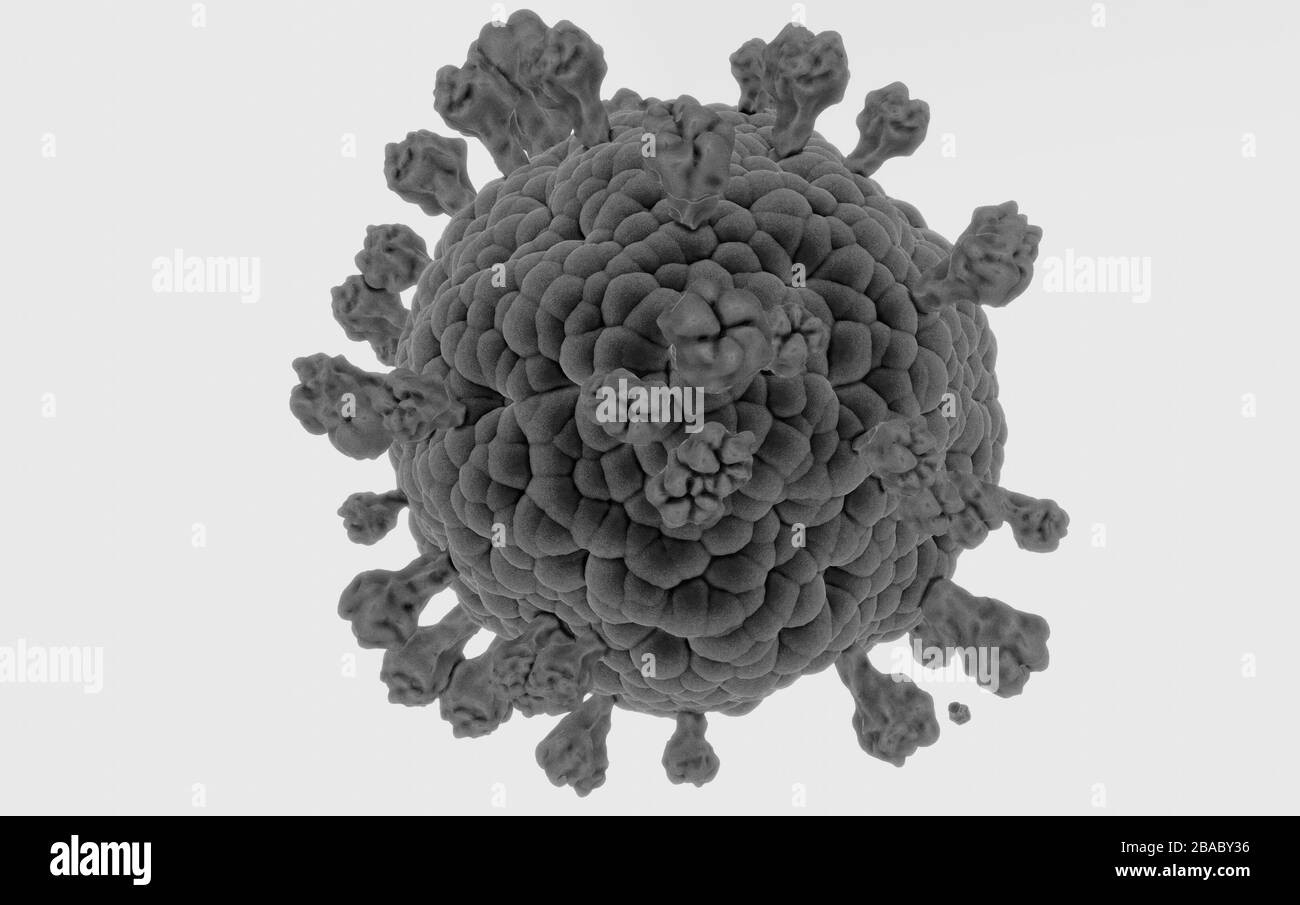 Rappresentazione in microscopia di Coronavirus covid19, rappresentazione 3D in bianco e nero sulla base delle immagini microscopiche del virus, isolate su sfondo bianco Foto Stock