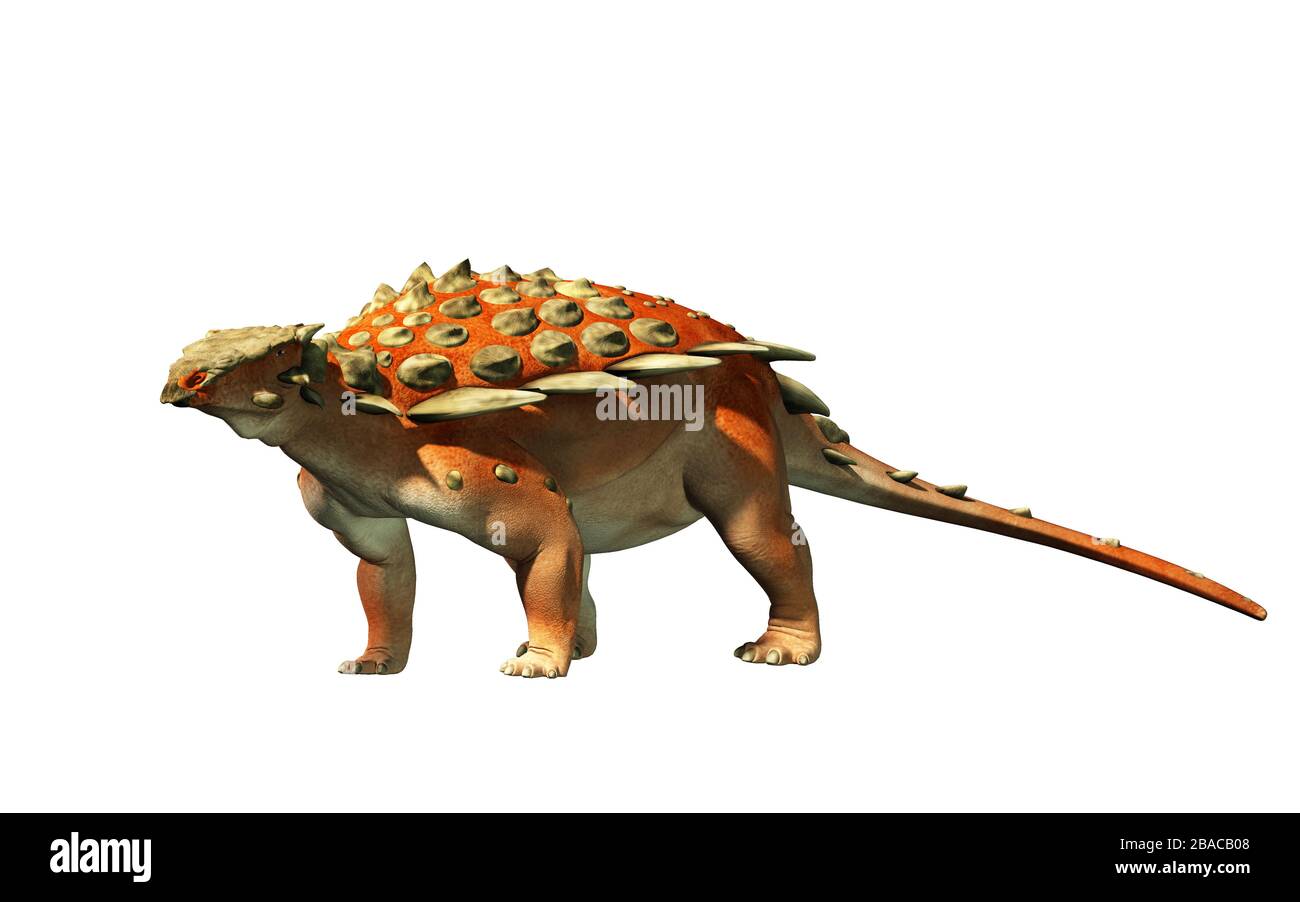 Il Gargoylosaurus era un primo anchilosauro del tardo periodo giurassico. Era un erbivoro corazzato, un quadruplicato con punte lungo il lato. Su bianco Foto Stock