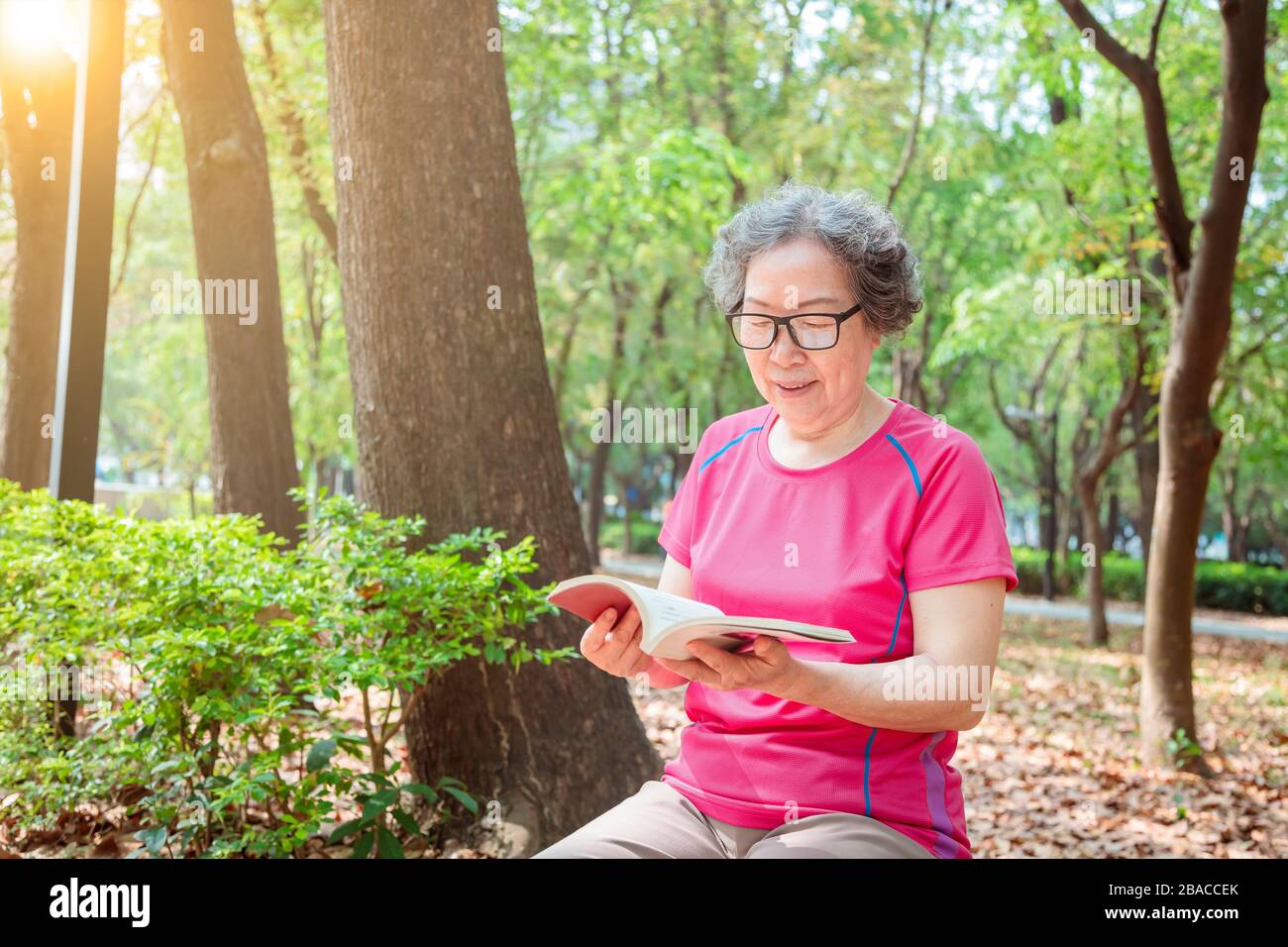 donna anziana asiatica in occhiali e libro di lettura nel parco Foto Stock