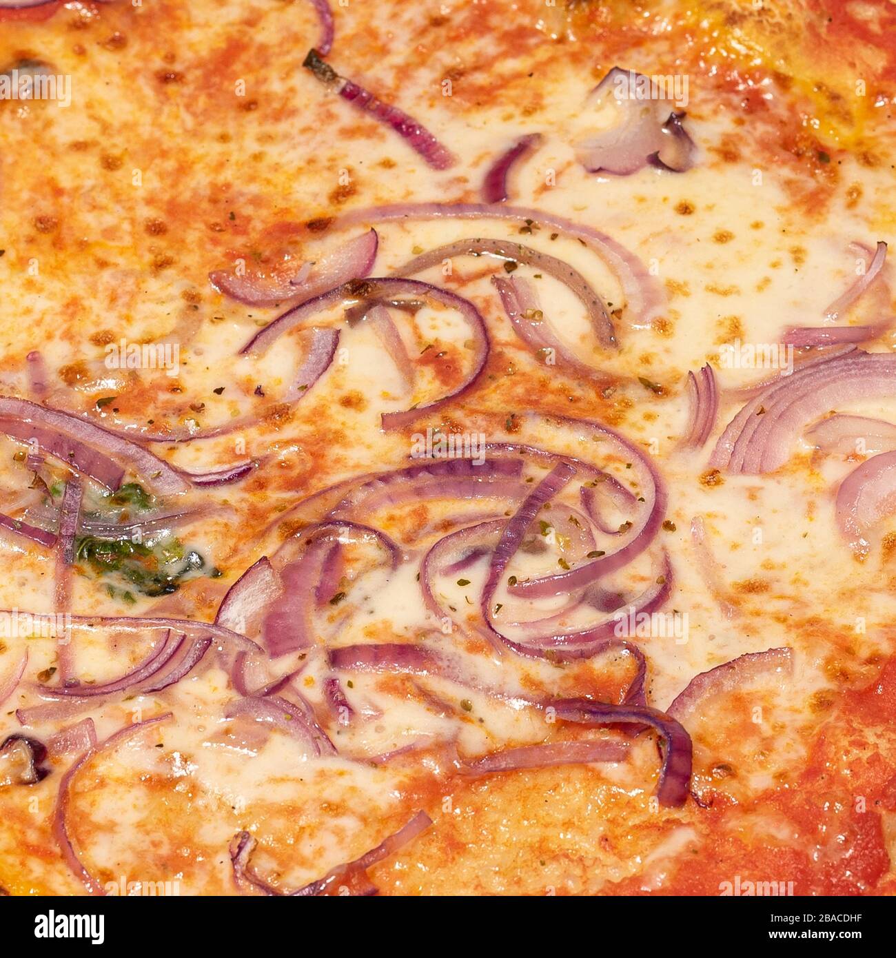 Primo piano di pizza con cipolle, dettaglio del tipico piatto italiano, fotografia gastronomica Foto Stock