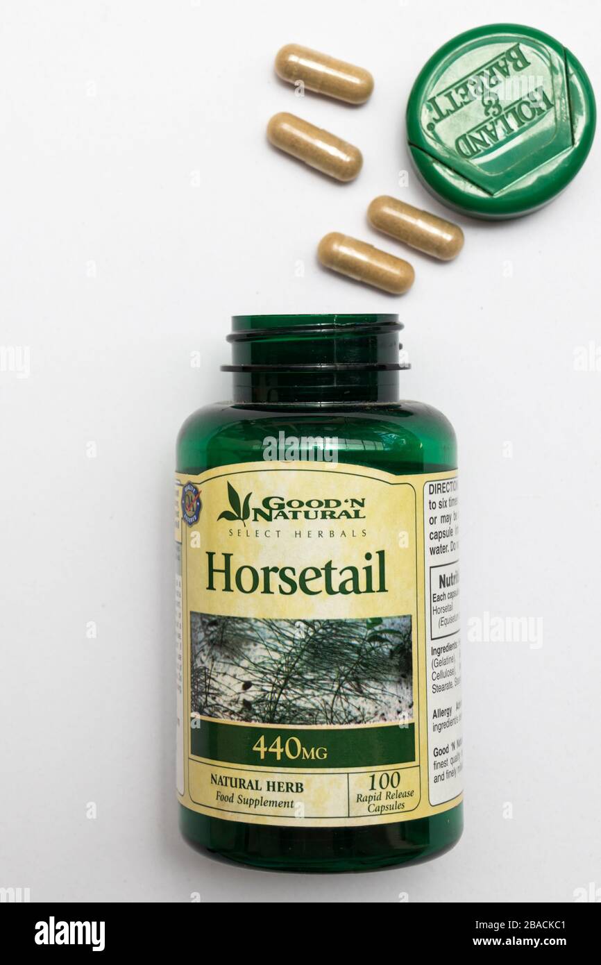 Flacone di compresse a base di hrosetail di erbe Holland & Barrett. Foto Stock