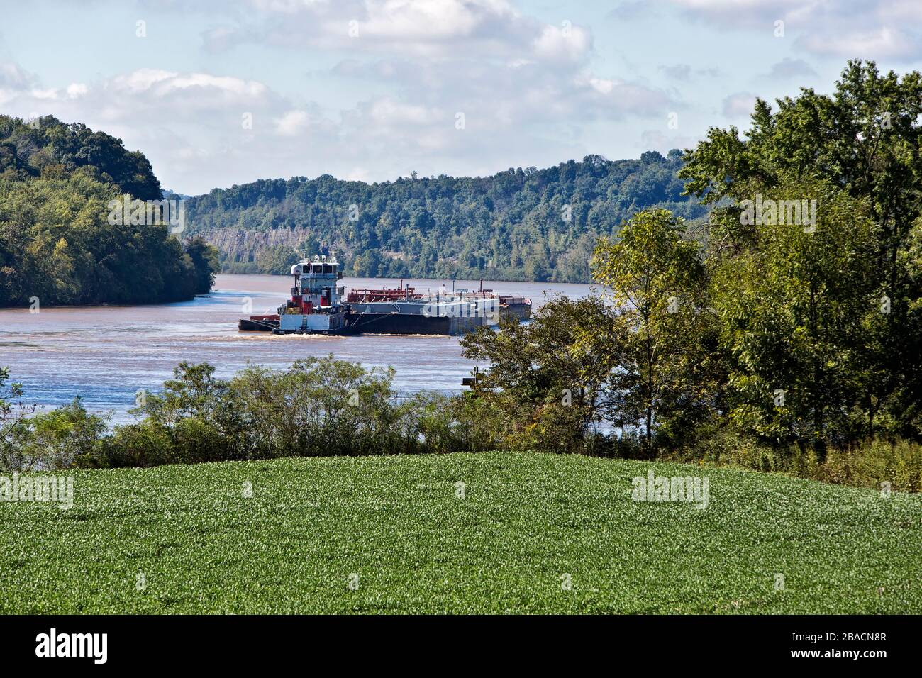 Rimorchiatore che spinge fuel chiatte, alberi nativi lungo la riva del fiume, campo di soia 'Glycine max' in primo piano, Ohio River. Foto Stock