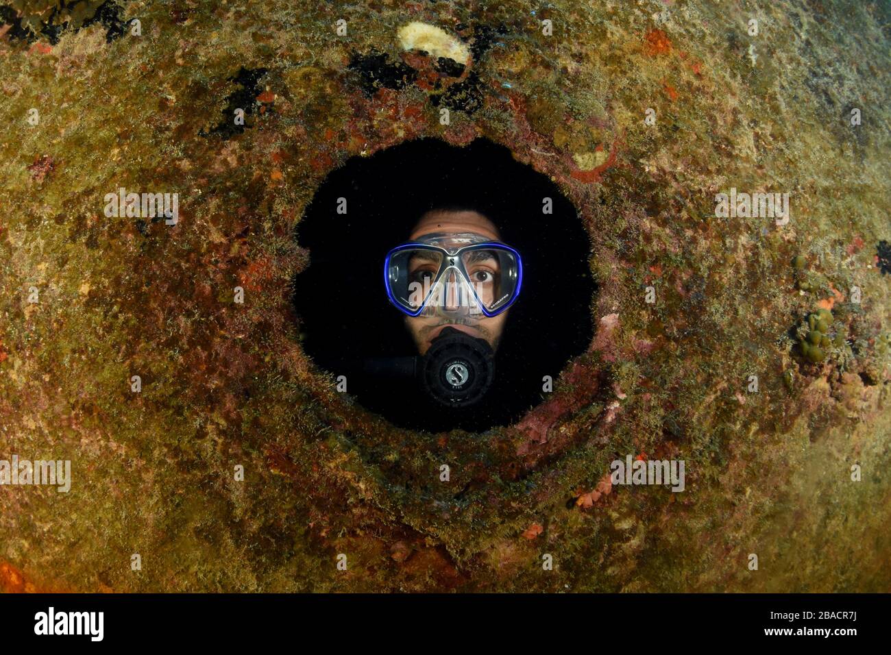 Guardando attraverso una buca del porto, mentre immersioni subacquee sul sito di immersione Gregory Foto Stock