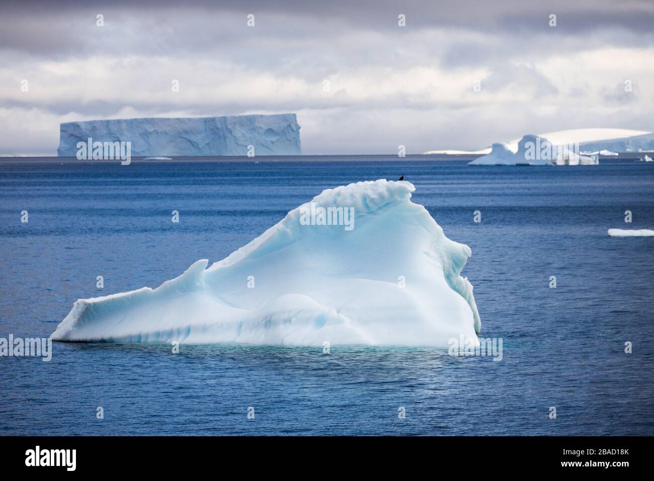 Iceberg nel canale Lemaire, la penisola antartica Foto Stock
