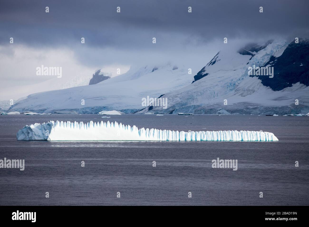 Iceberg nel canale Lemaire, la penisola antartica Foto Stock