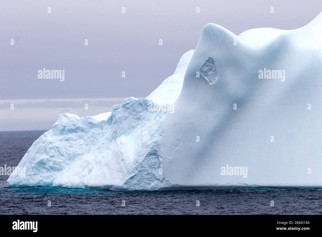 Iceberg galleggiante nell'Oceano Atlantico Antartico Peninsulare Foto Stock