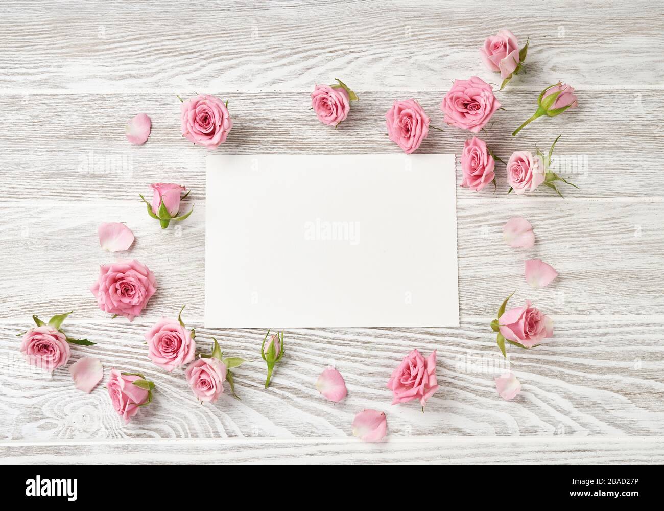 Carta in foglio bianco con fiori di rosa su sfondo di legno bianco con spazio per la copia per il disegno, il testo. Vista dall'alto delle rose e delle rose rosa. Foto Stock