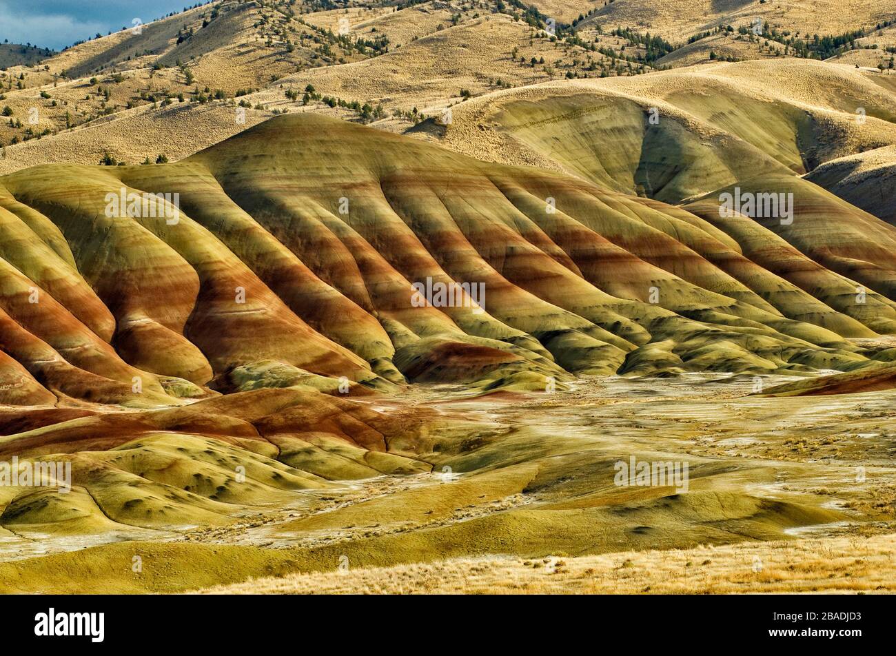 Colline dipinte a John Day Fossil Beds National Monument, colline dipinte di unità, Oregon, Stati Uniti d'America Foto Stock