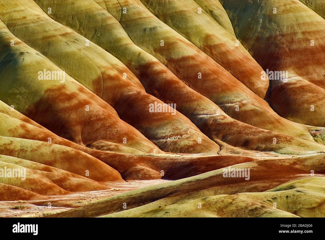 Colline dipinte a John Day Fossil Beds National Monument, colline dipinte di unità, Oregon, Stati Uniti d'America Foto Stock