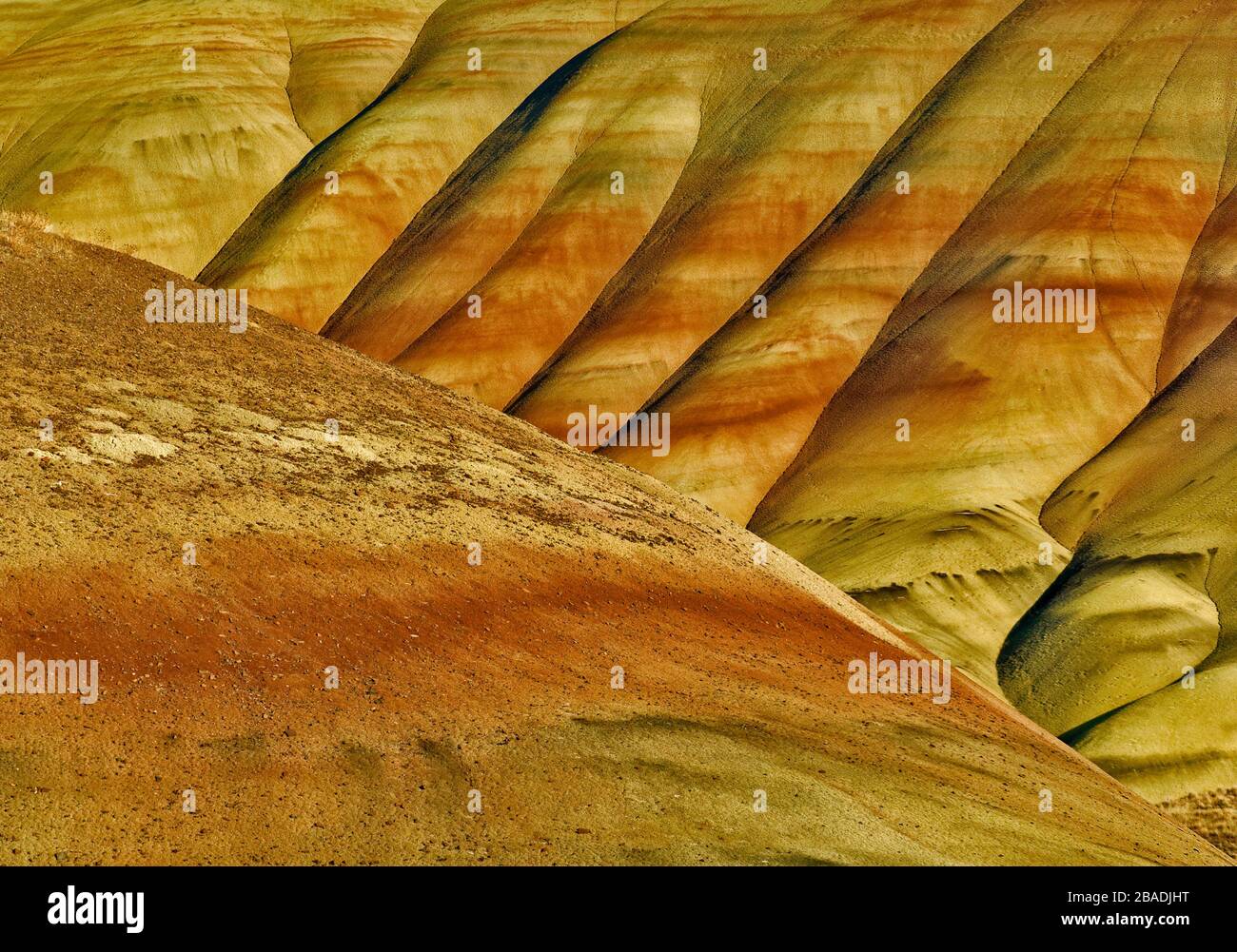 Colline dipinte a John Day Fossil Beds National Monument, colline dipinte di unità, Oregon, Stati Uniti d'America Foto Stock
