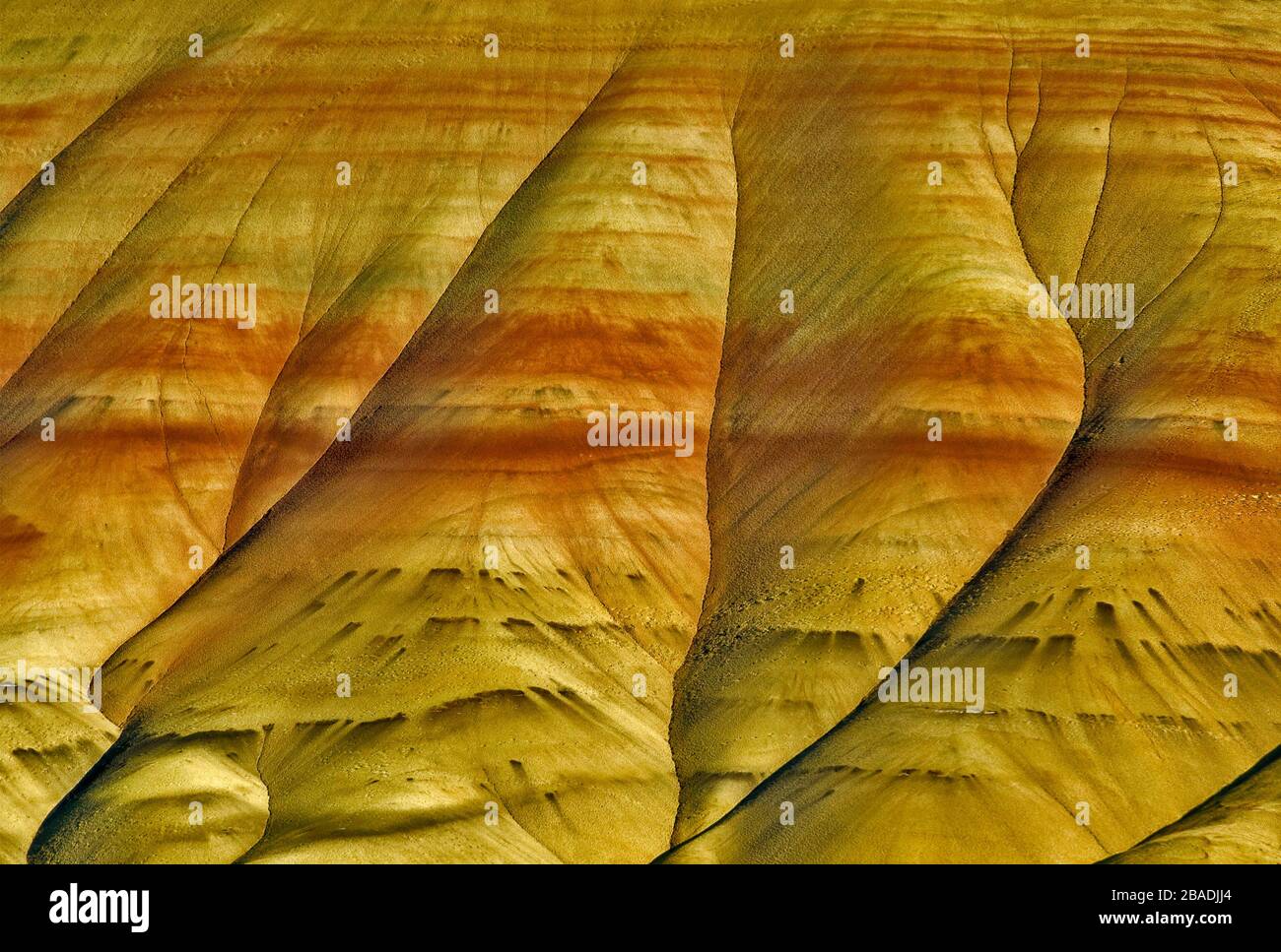 Colline dipinte a John Day Fossil Beds National Monument, colline dipinte di unità, Oregon, Stati Uniti d'America Foto Stock