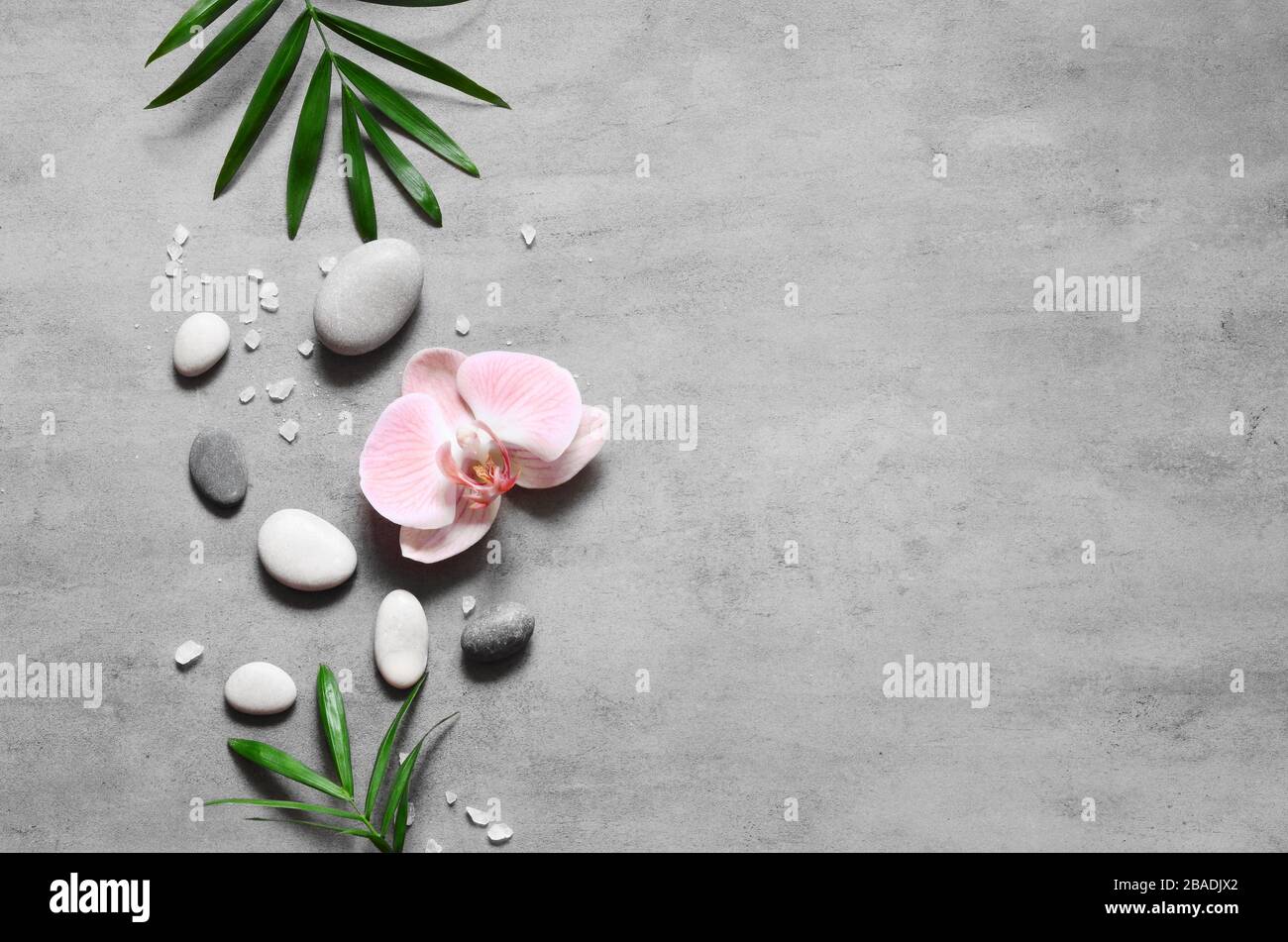 Spa concetto su sfondo pietra, foglie di palma, fiori e zen, pietre grigie, vista dall'alto, spazio copia Foto Stock