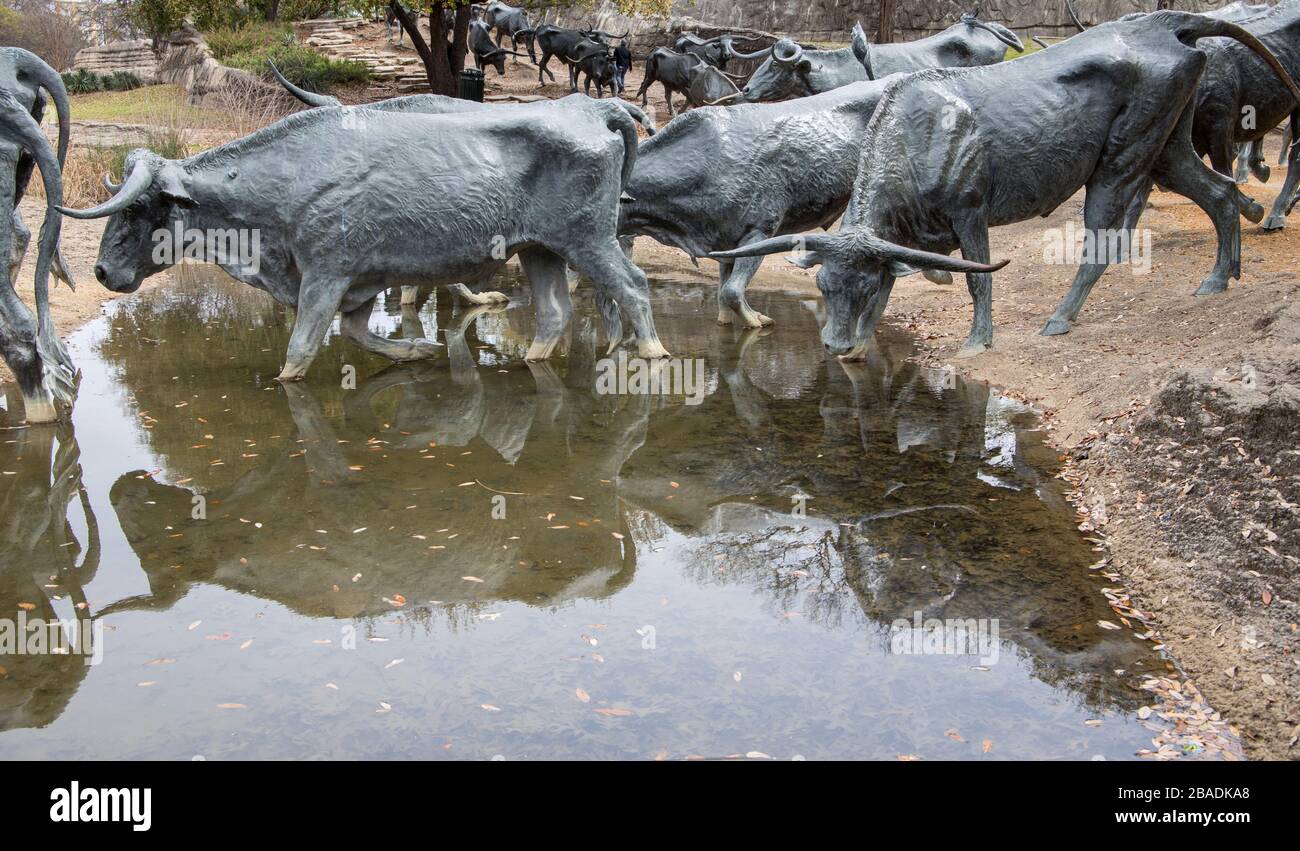 le sculture di cattle drive presso il pioniere plaza a dallas texas Foto Stock