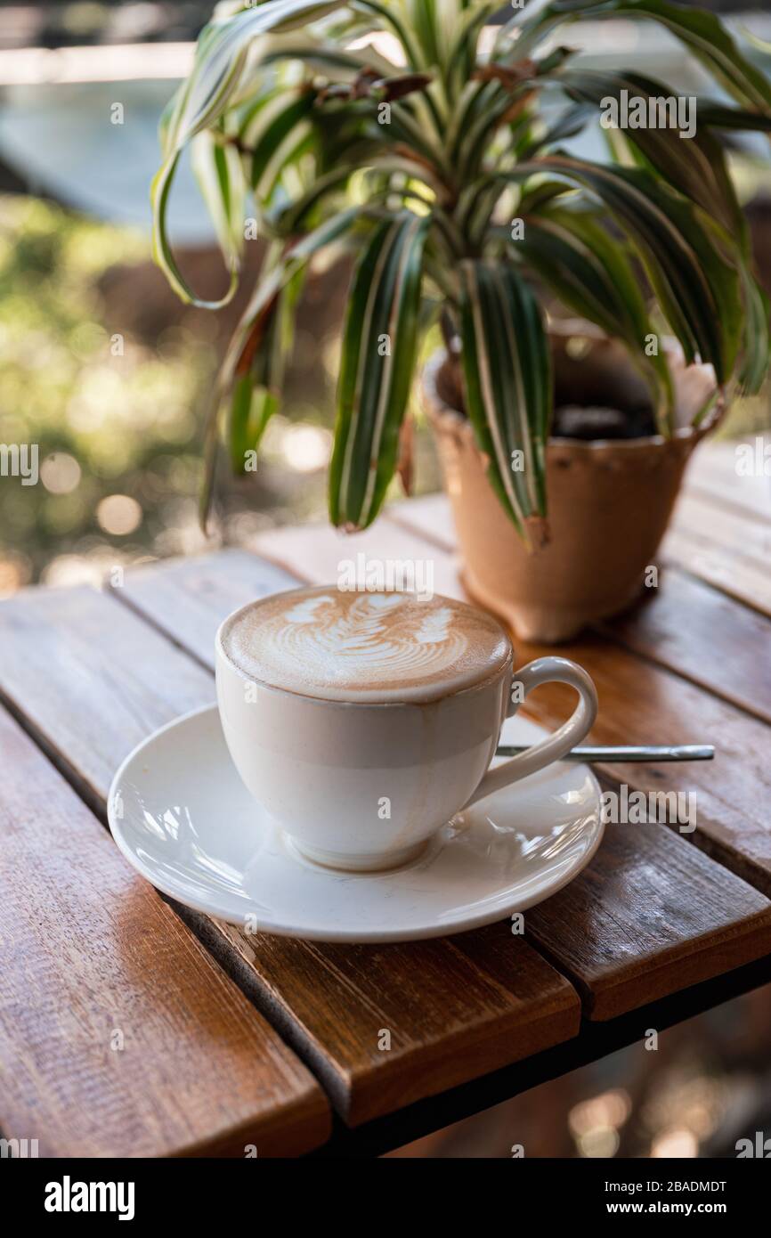 Latte caldo con forma di fiore in schiuma e decorazione di piante su bar in legno nel caffè Foto Stock