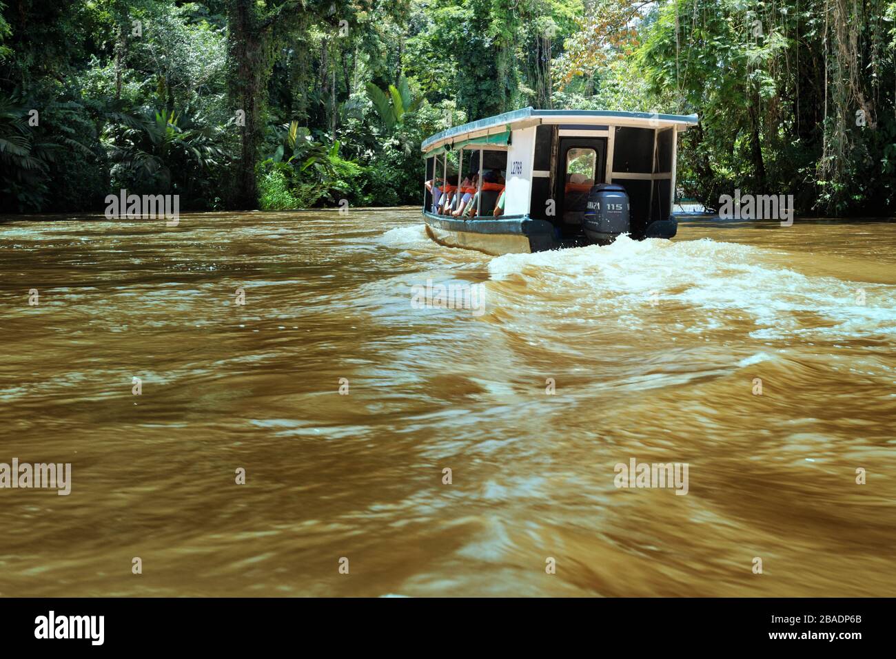 Barca su un fiume tropicale. Taxi barca in servizio da la Pavona al Parco Nazionale Tortuguero, Costa Rica. Fiume suerte Tortuguero. Foto Stock