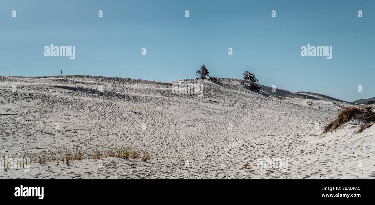 Meravigliose dune di sabbia nel sud-ovest della Sardegna. Porto Pino, Sant'Anna Arresi, Provincia di Carbonia e Iglesias, Sardegna, Italia. Foto Stock
