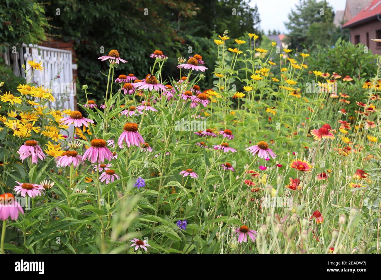 Fiori colorati su un prato con colori luminosi e api in una soleggiata giornata primaverile Foto Stock