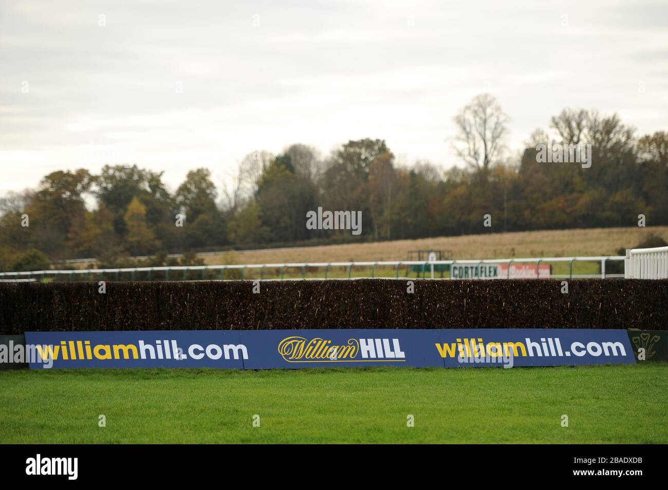 Una vista generale di una recinzione al Lingfield Park Foto Stock