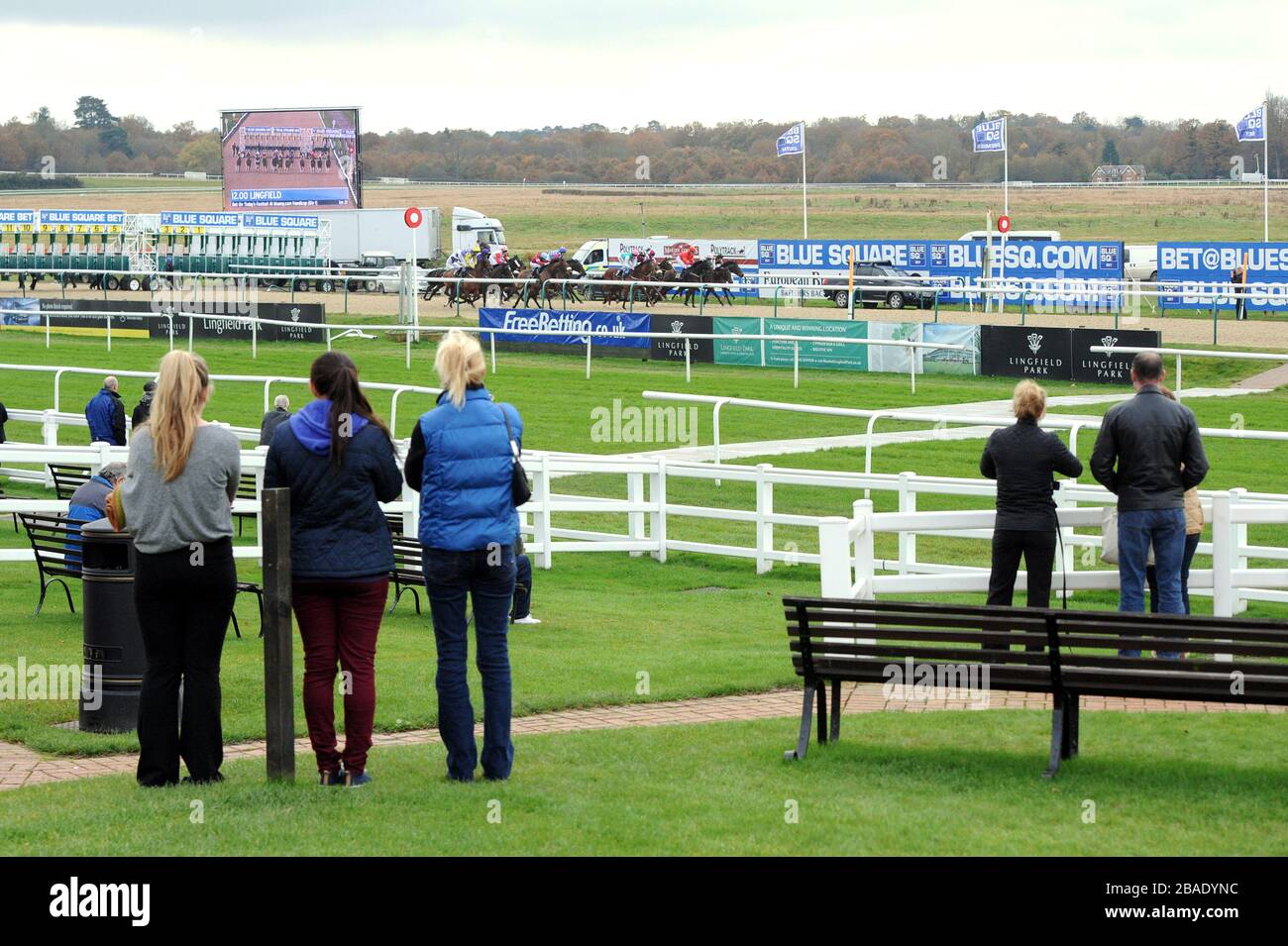 I Racegoers guardano l'azione alle gare di Lingfield Foto Stock