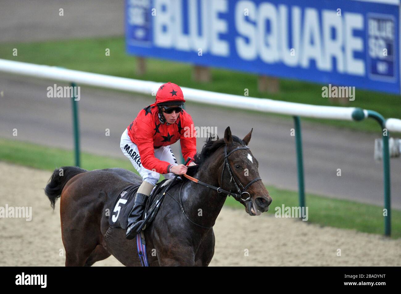 Stasio guidato da William Buick continua a vincere la scommessa a bluesq.com Novice Stakes Foto Stock