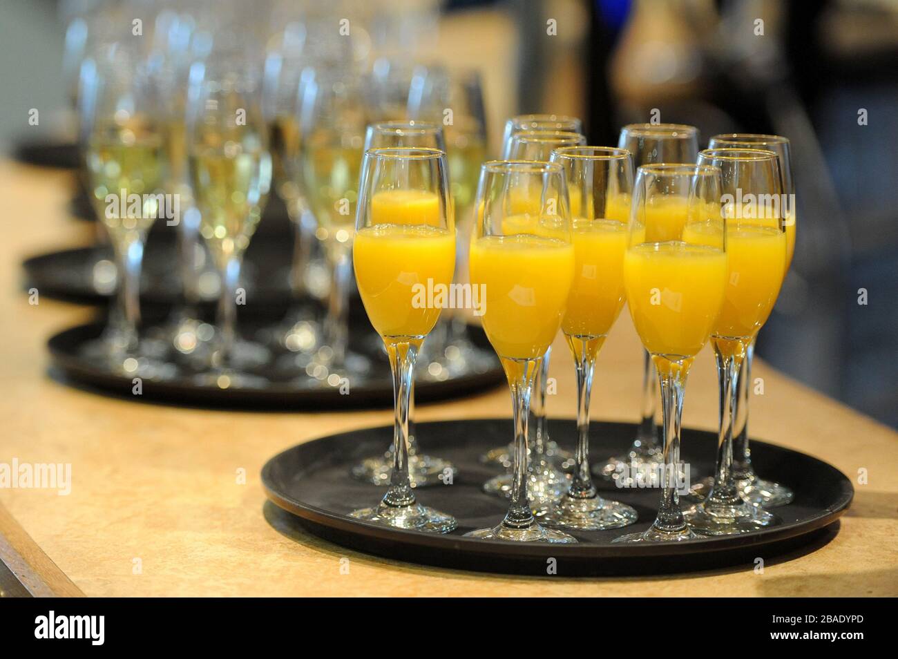 Champagne e succo d'arancia in offerta nella tenda ospitalita' Blue Square Bet alle gare di Lingfield. Foto Stock